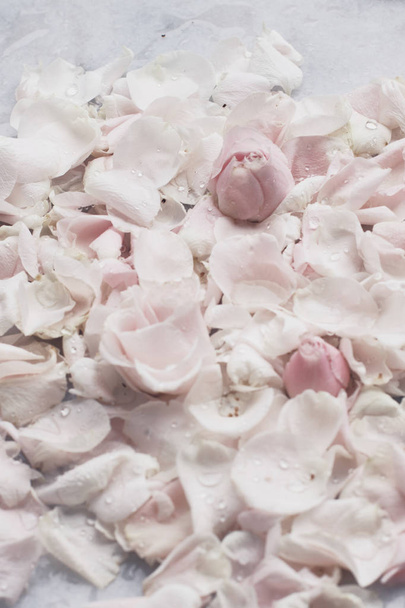 pétales de fleurs de rose sur marbre - concept de mariage, vacances et jardin floral, visuels élégants
 - Photo, image