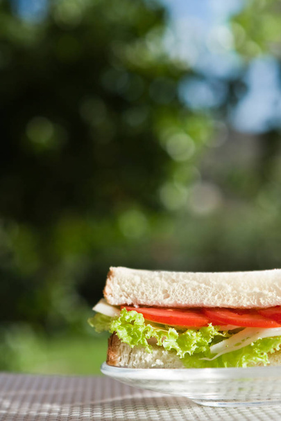 チーズと野菜のサンドイッチ - 健康的なスナック、自家製食品スタイル コンセプト、エレガントな視覚効果 - 写真・画像