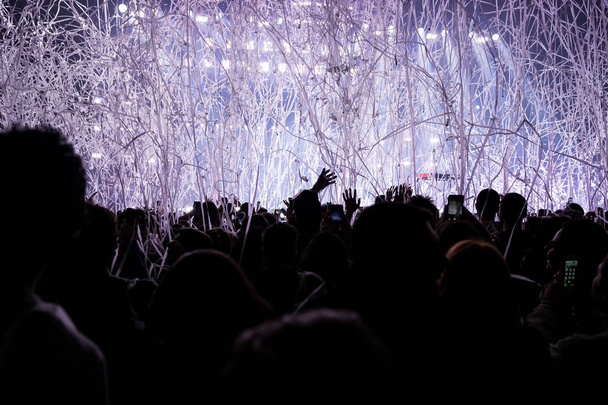 люди, смотревшие концерт в прямом эфире
 - Фото, изображение