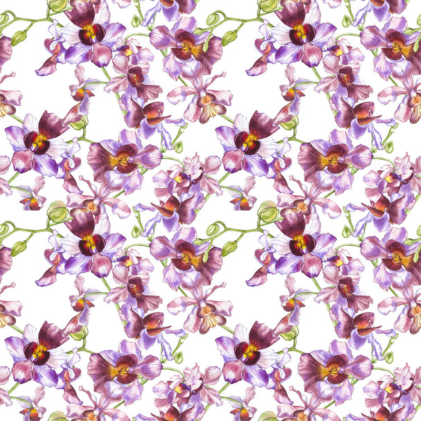 Watercolor orchid branch, hand drawn floral seamless pattern background. Flora watercolor illustration, botanical painting, hand drawing. - 写真・画像