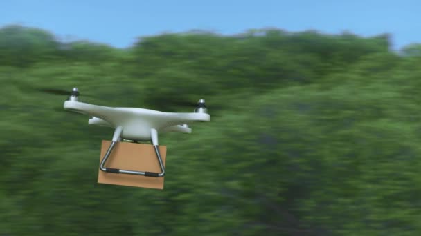 Drone quadrocopter entrega un paquete
 - Metraje, vídeo