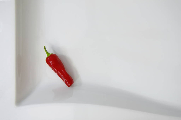Red chili on paper white background - Фото, зображення