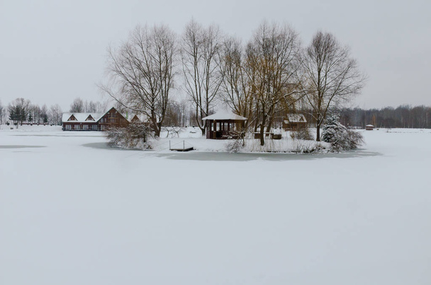 A paisagem de inverno com floresta, lago nas más condições meteorológicas
 - Foto, Imagem