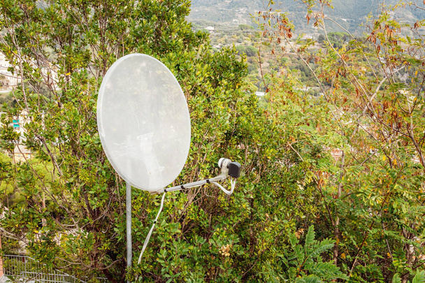 Telecommunicatie satelliet antenne plaat in bos - Foto, afbeelding
