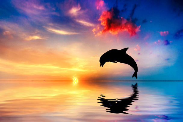 Beautiful ocean and sunset, dolphin jumping - Photo, Image