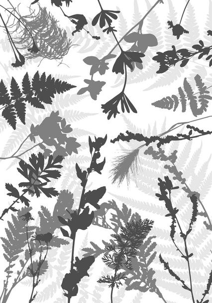 Tempalte z liści i roślin sylwetki - Wektor, obraz