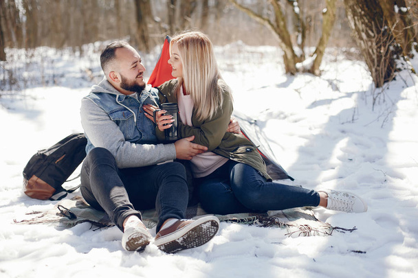 Elegant couple in a winter park - Fotoğraf, Görsel