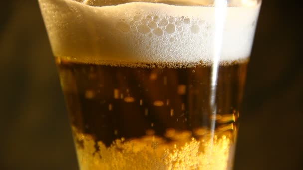 Μπύρα χύνεται ένα ποτήρι με φούσκα - Πλάνα, βίντεο