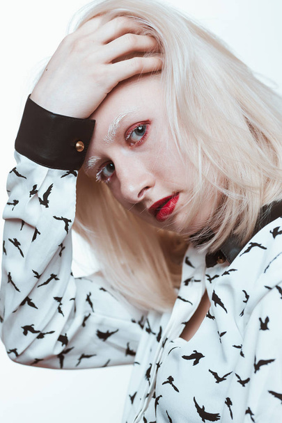 portrait blonde albino girl in studio on white background. - Photo, image