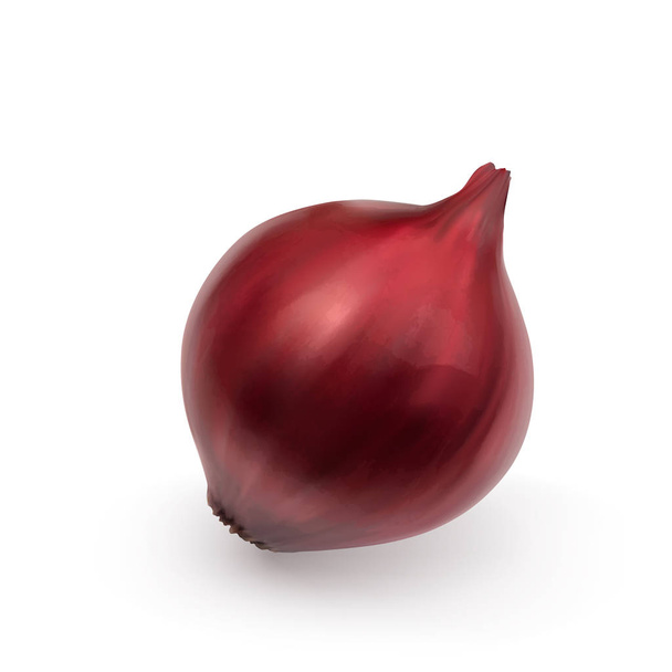 Whole Sweet Red Onion Isolated on White Background with a Shadow. Realistic 3d Vector Illustration - Vector, Image