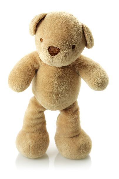 Teddy bear on its feet - Photo, Image