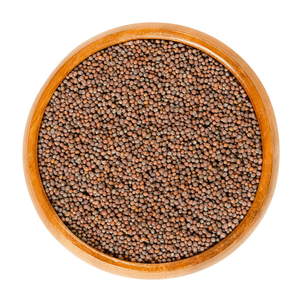 Black mustard seeds in wooden bowl. Brassica nigra with black and dark brown seeds. Used for making mustard, sprouting, as a spice and as a condiment. Macro food photo, closeup, from above over white. - Photo, Image