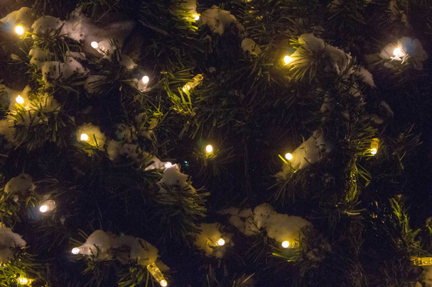 Garland on a Christmas tree. Light bulbs. - Foto, imagen