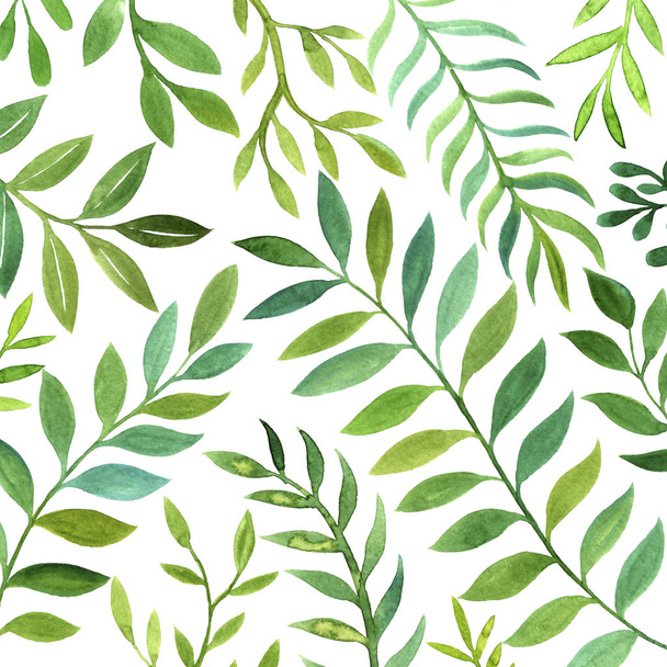 background with watercolor fern leaves - 写真・画像