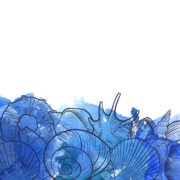 vector background with seashells - Vettoriali, immagini