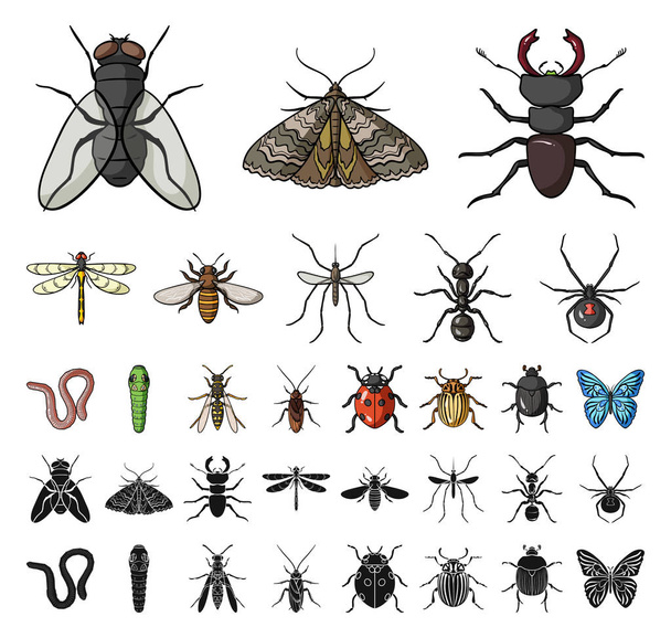 Different kinds of insects cartoon, black icons in set collection for design. Insect arthropod vector symbol stock web illustration. - Vector, Imagen
