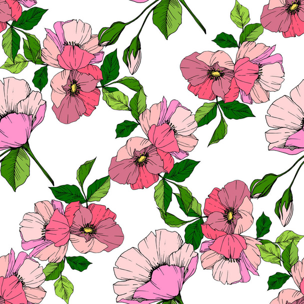 Vektor rózsaszín rosa canina virág. Vésett tinta art. Varratmentes háttérben minta. Anyagot a nyomtatási textúrát. - Vektor, kép