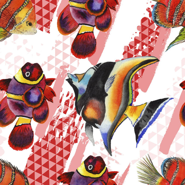 Akwarela wodne podwodne, kolorowe ryby tropikalne zestaw ilustracji. Bezszwowe tło wzór. - Zdjęcie, obraz
