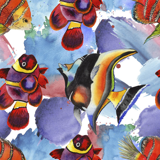 Aquarell aquatische Unterwasser bunte tropische Fische Illustrationsset. nahtloses Hintergrundmuster. - Foto, Bild