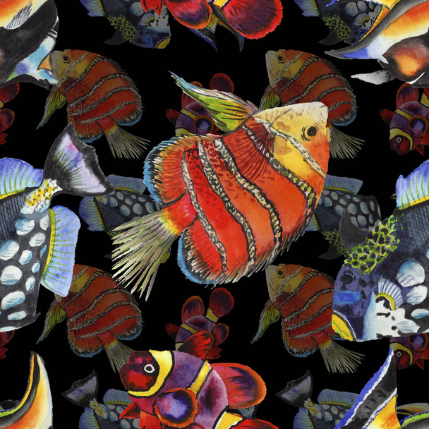 Watercolor aquatic underwater colorful tropical fish illustration set. Seamless background pattern. - Valokuva, kuva