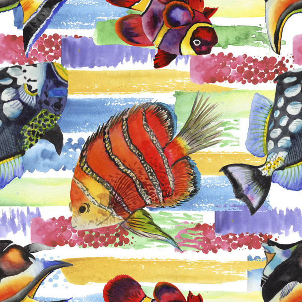 Watercolor aquatic underwater colorful tropical fish illustration set. Seamless background pattern. - 写真・画像