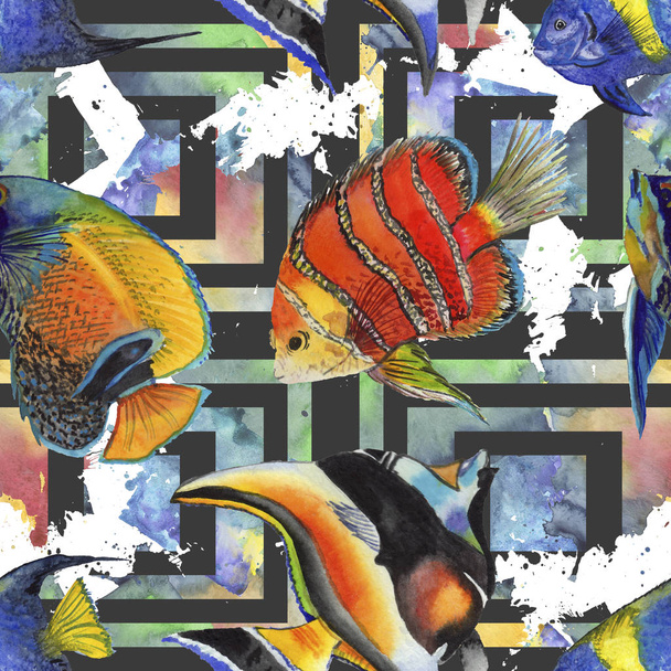 Σετ ακουαρέλας υδρόβια υποβρύχια πολύχρωμα τροπικά ψάρια εικονογράφηση. Απρόσκοπτη υπόβαθρο μοτίβο. - Φωτογραφία, εικόνα