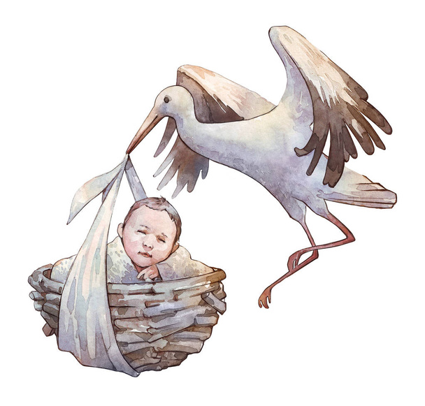 cigüeña acuarela con bebé aislado en blanco
 - Foto, imagen
