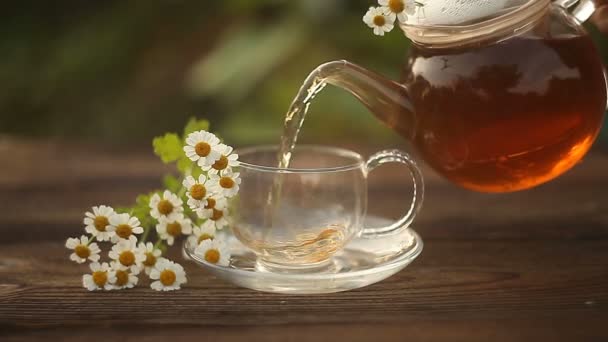 green tea with chamomile in cup - Footage, Video