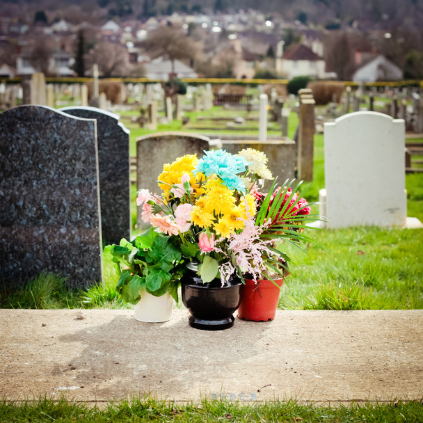 Cementerio Flores
 - Foto, Imagen