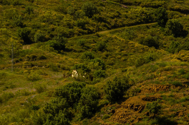 типичные испанские деревенские дома и сельхозугодия в холмах Андалусии, горный ландшафт
 - Фото, изображение