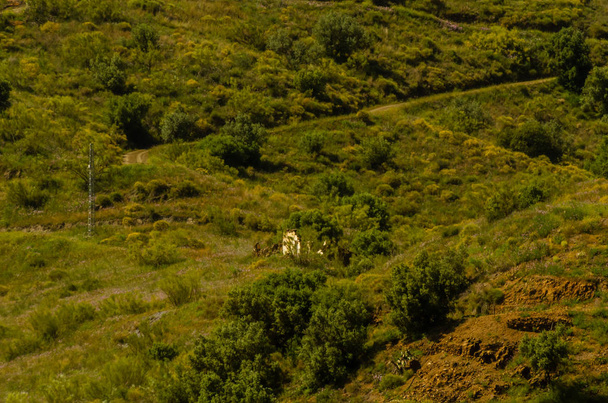 типичные испанские деревенские дома и сельхозугодия в холмах Андалусии, горный ландшафт
 - Фото, изображение
