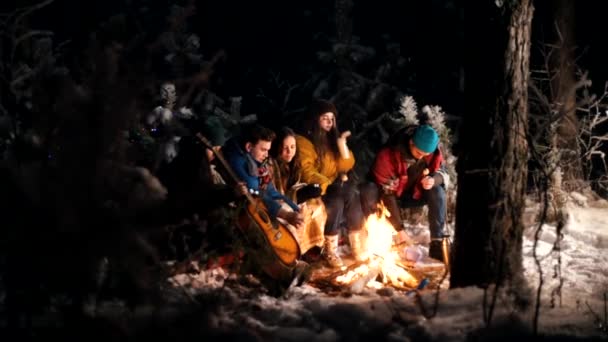 Young people in the winter forest sitting by the fire. Frying food on the fire - Footage, Video