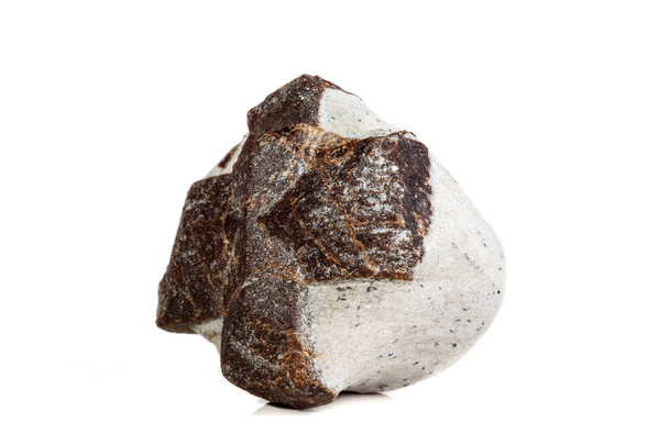 Makro mineraali kivi Stauroliitti valkoisella pohjalla lähikuva
 - Valokuva, kuva