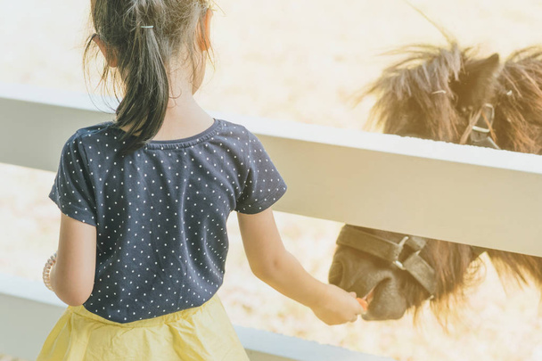 Маленька дівчинка годує коня на фермі через білий дерев'яний паркан
. - Фото, зображення