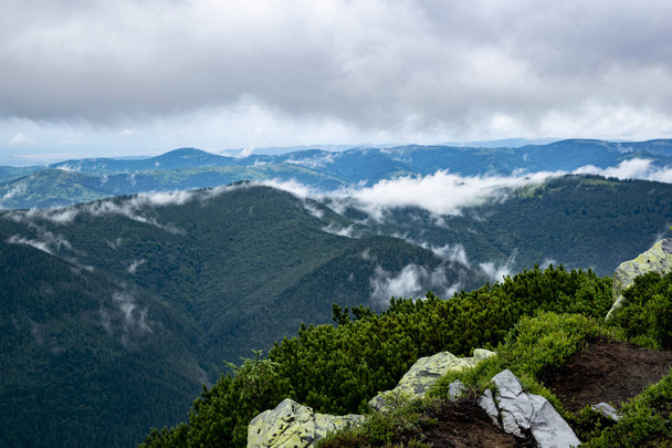 Yazın Karpat Dağları - Fotoğraf, Görsel