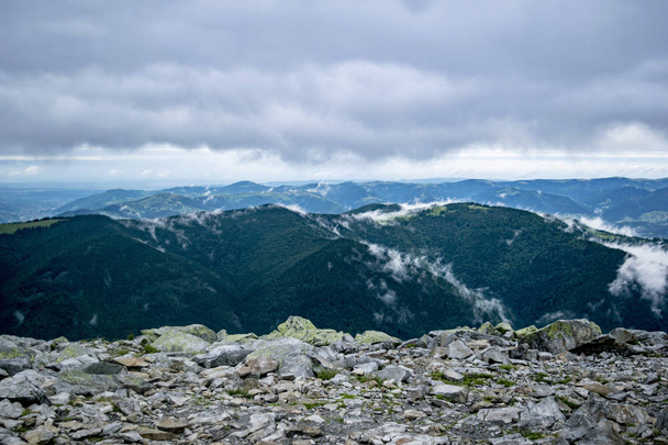 Karpaattien vuoret kesällä - Valokuva, kuva