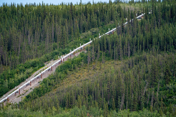 Vista del Oleoducto Trans-Alaska (TAPS) entre el bosque boreal del interior de Alaska
 - Foto, imagen