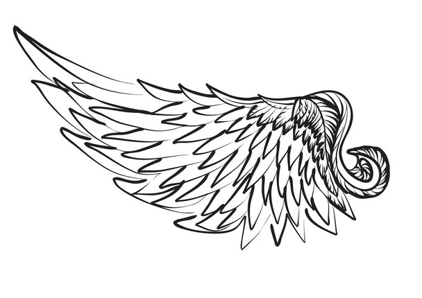 白い背景に孤立した翼のシルエット - ベクター画像