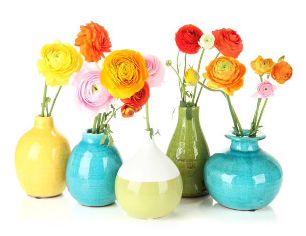 Ranunculus (persian buttercups) in vases, isolated on white - Foto, Bild