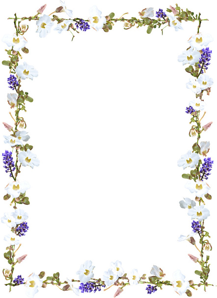 Purple ginger and white sky flower vine border isolated on white background - Fotó, kép