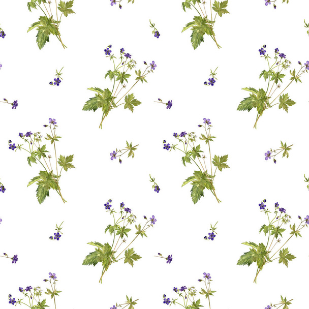 Seamless pattern with flower of meadow geranium - Foto, Imagen