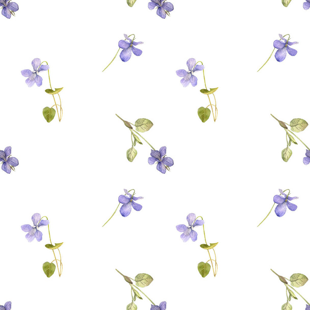 seamless pattern with flowers of viola - Φωτογραφία, εικόνα
