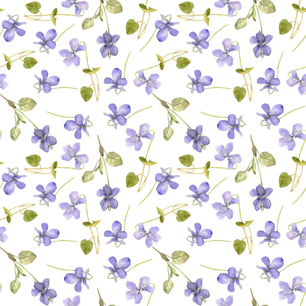 seamless pattern with flowers of viola - Valokuva, kuva