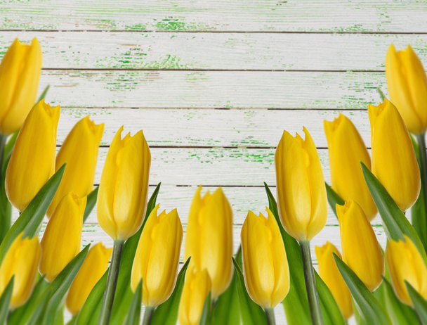 Yellow tulips on a wooden background - Foto, imagen