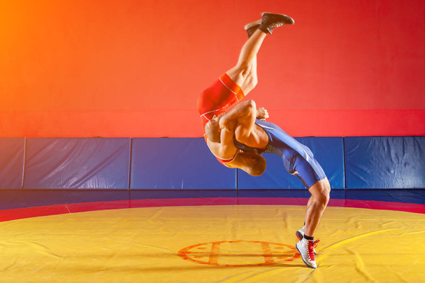 Dois lutadores fortes em meias de luta azul e vermelha estão lutando e fazendo hip throw wrestling em um tapete de luta amarela no ginásio. Jovem fazendo garra
. - Foto, Imagem