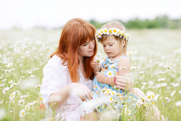 family having fun in field of daisies - Photo, Image
