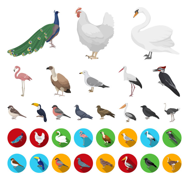 Tipos de dibujos animados de aves, iconos planos en la colección de conjuntos para el diseño. Inicio y aves silvestres vector símbolo stock web ilustración
. - Vector, Imagen