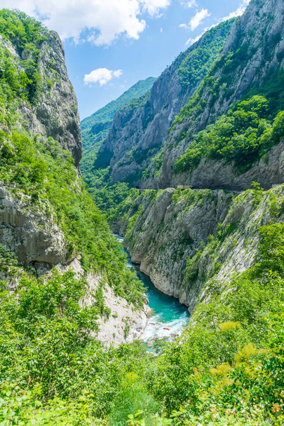 峡谷、モンテネグロの間で流れる川 Moraca のターコイズ色の純粋な水 - 写真・画像