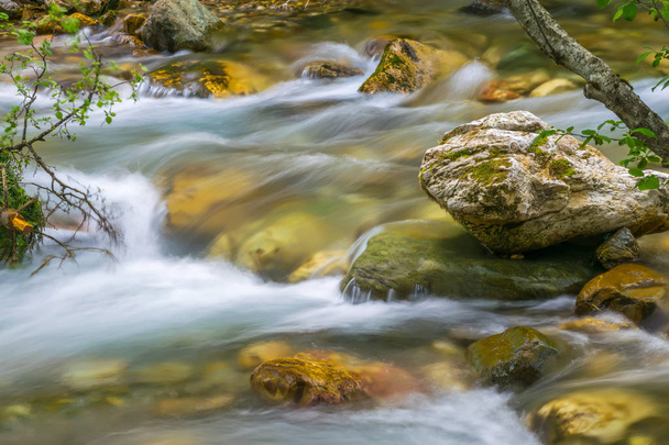 Lähellä näkymä Kolasinskaja-joelle nopea virtaus Kolasin, Montenegro
 - Valokuva, kuva