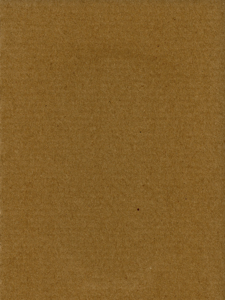Textured cardboard with natural fiber parts - Photo, Image